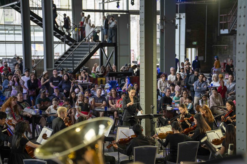 Meet the Orchestra Family Concerts presented by the SYO's The Peter Seymour Orchestra